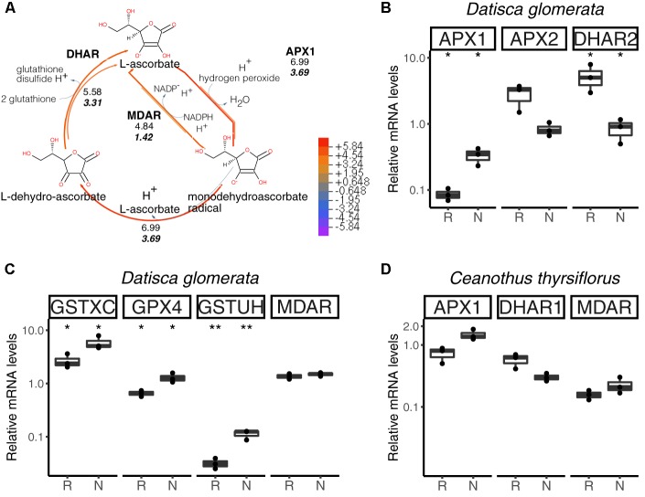 FIGURE 6