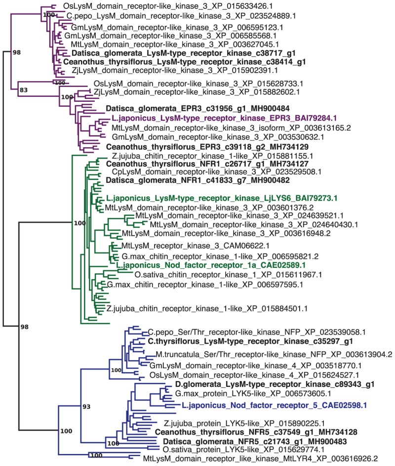 FIGURE 1