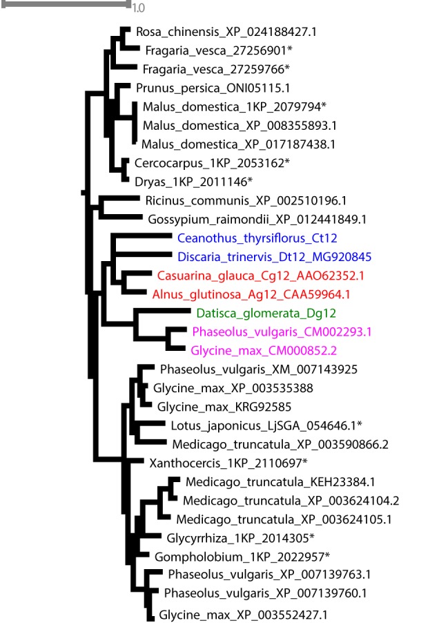 FIGURE 10