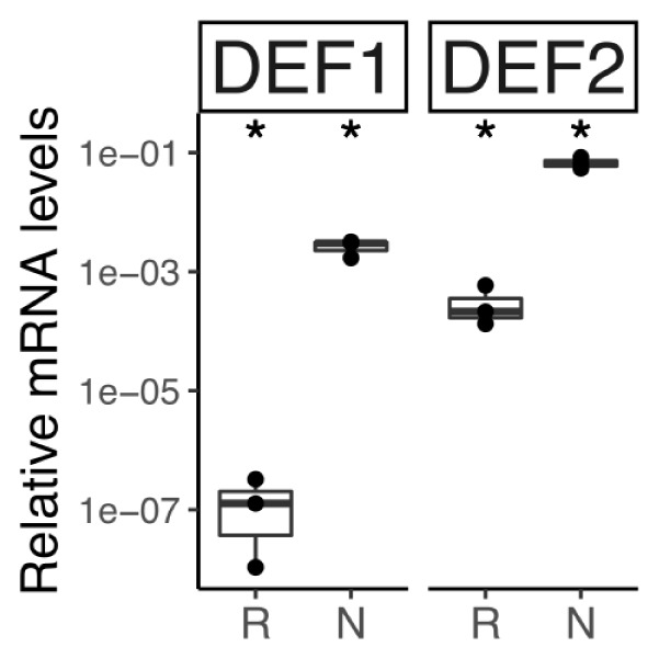 FIGURE 11