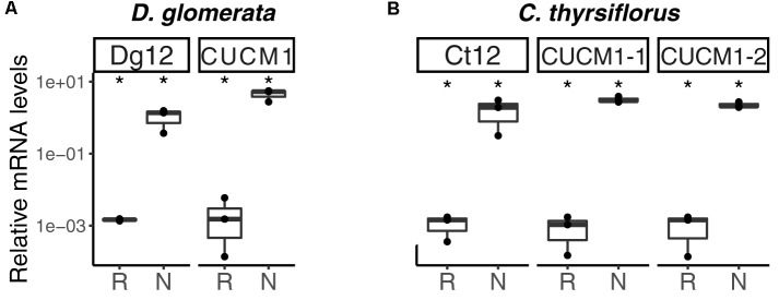 FIGURE 9