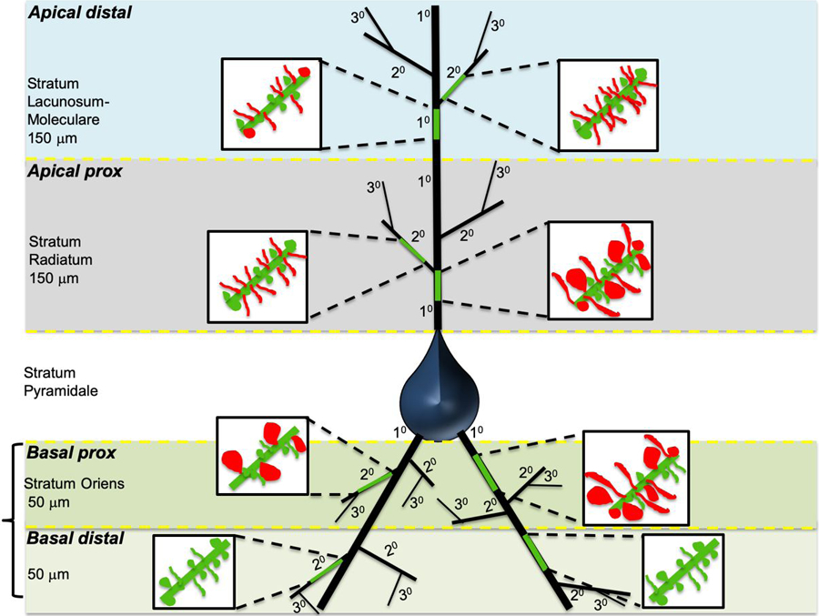 Figure 6: