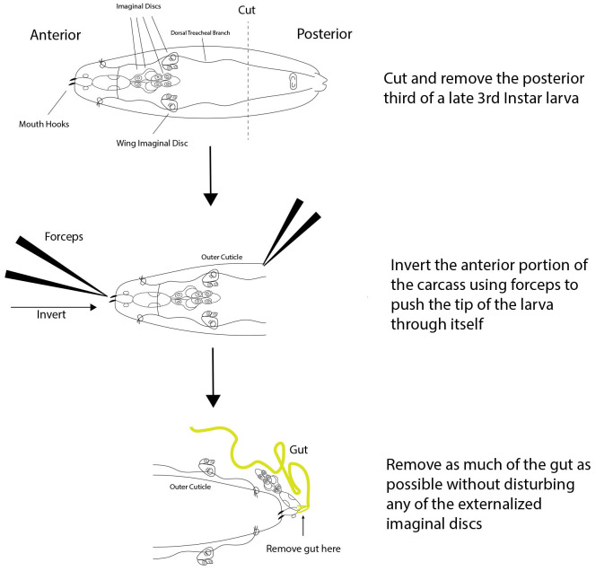 Figure 2.