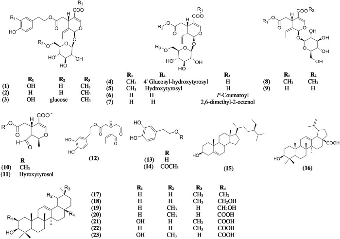 FIGURE 1