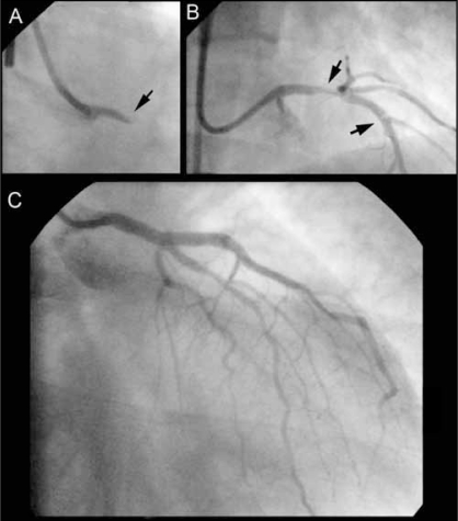 Figure 1)