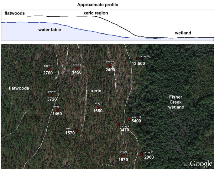 Figure 10