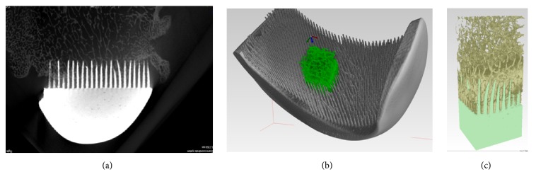 Figure 7