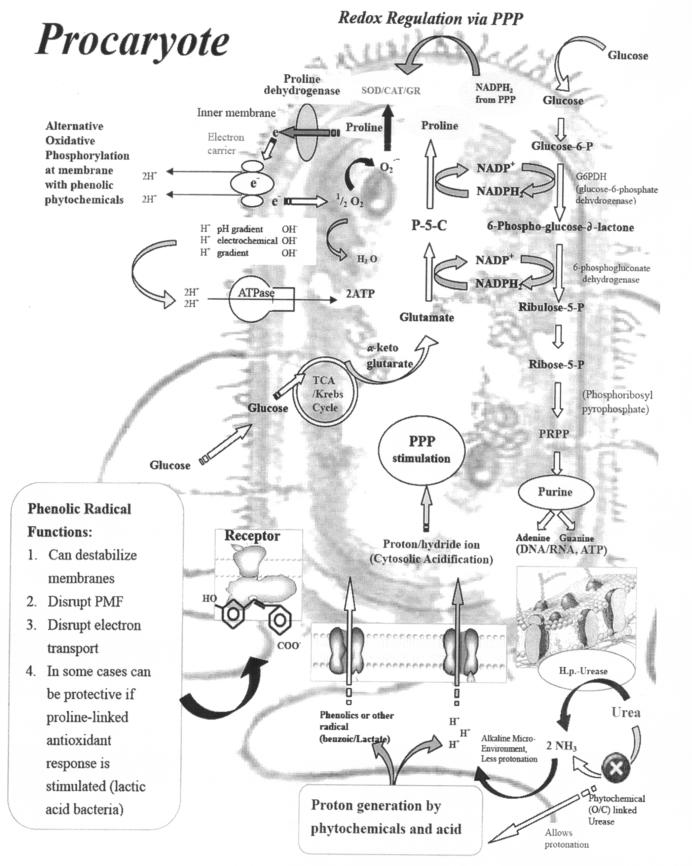 FIG. 6.