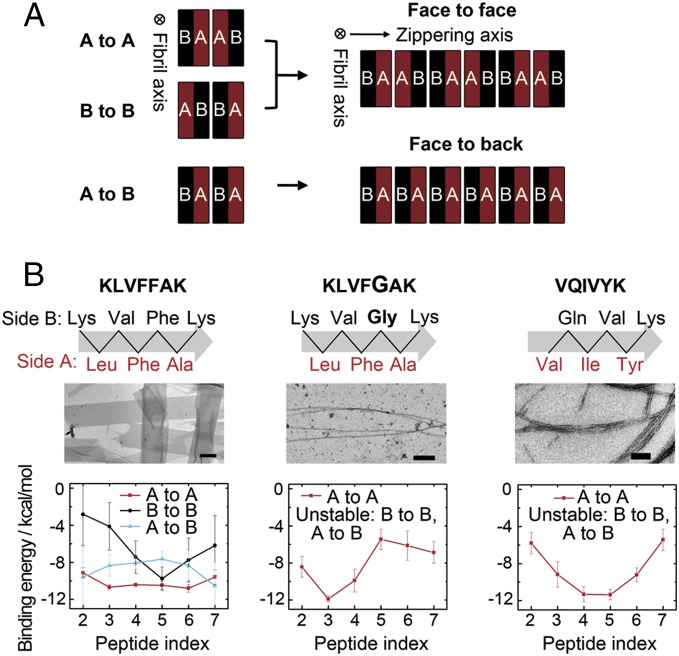 Fig. 2.