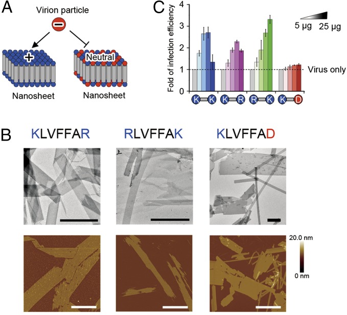 Fig. 6.