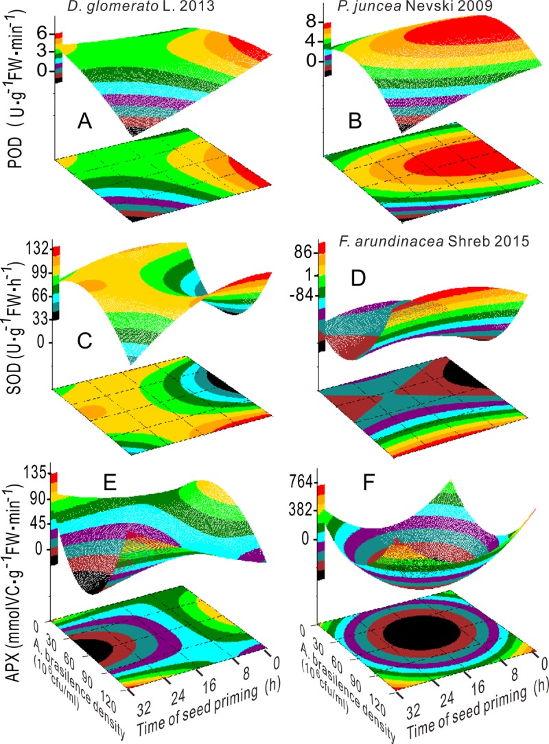 Fig 6