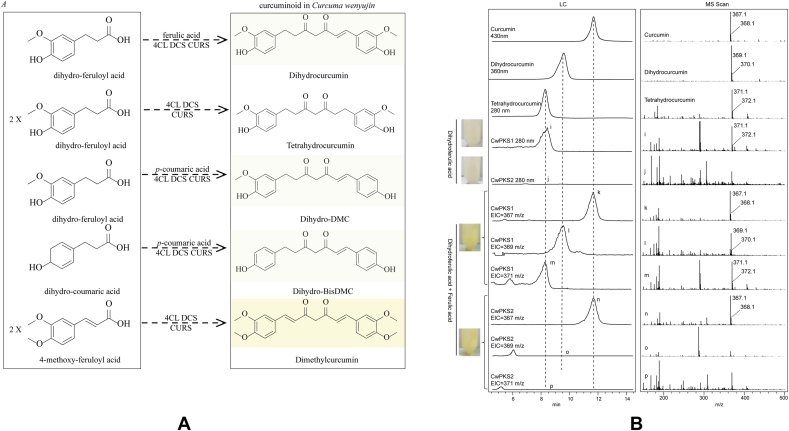 Fig. 6