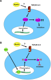 Figure 10.