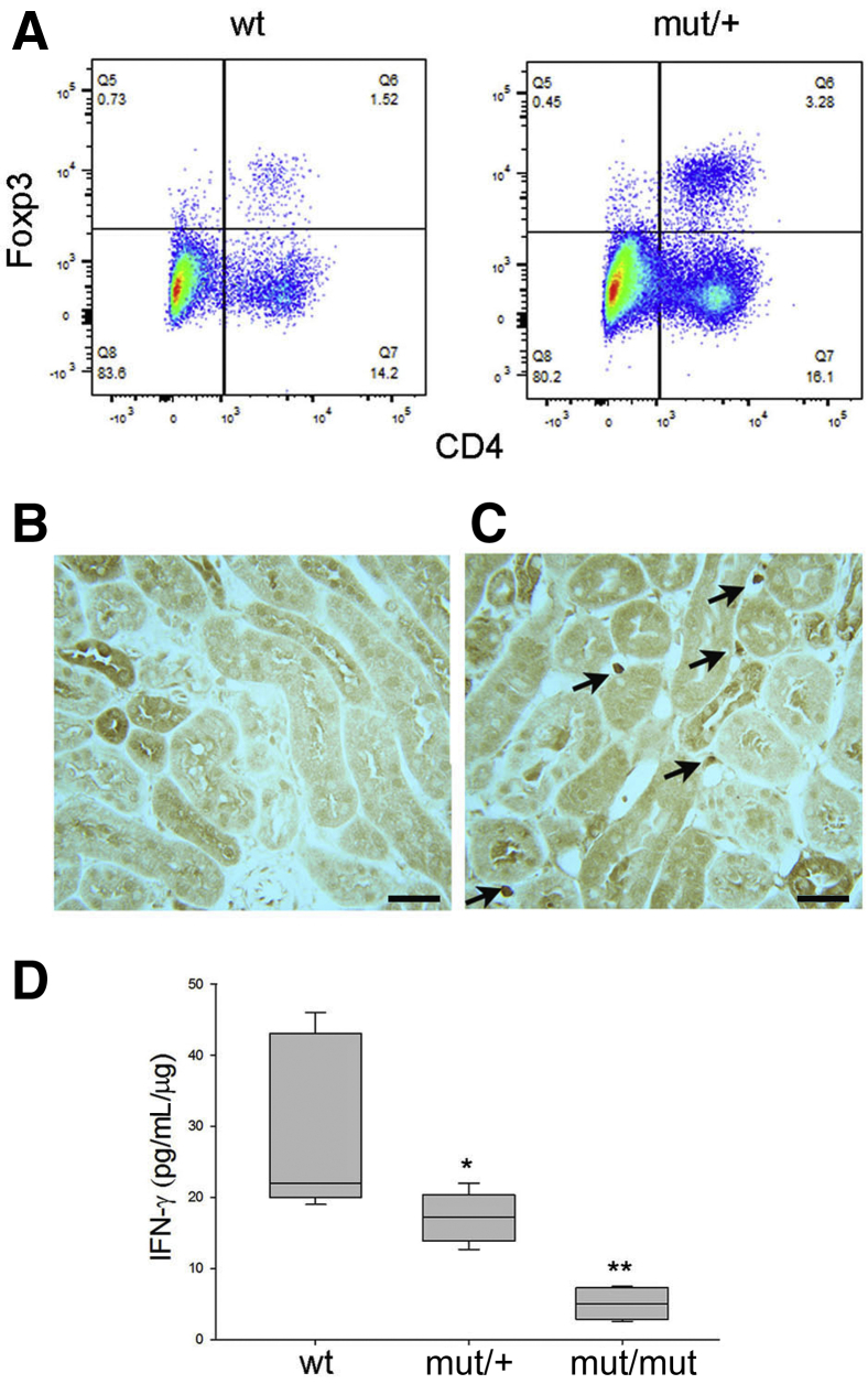 Figure 6