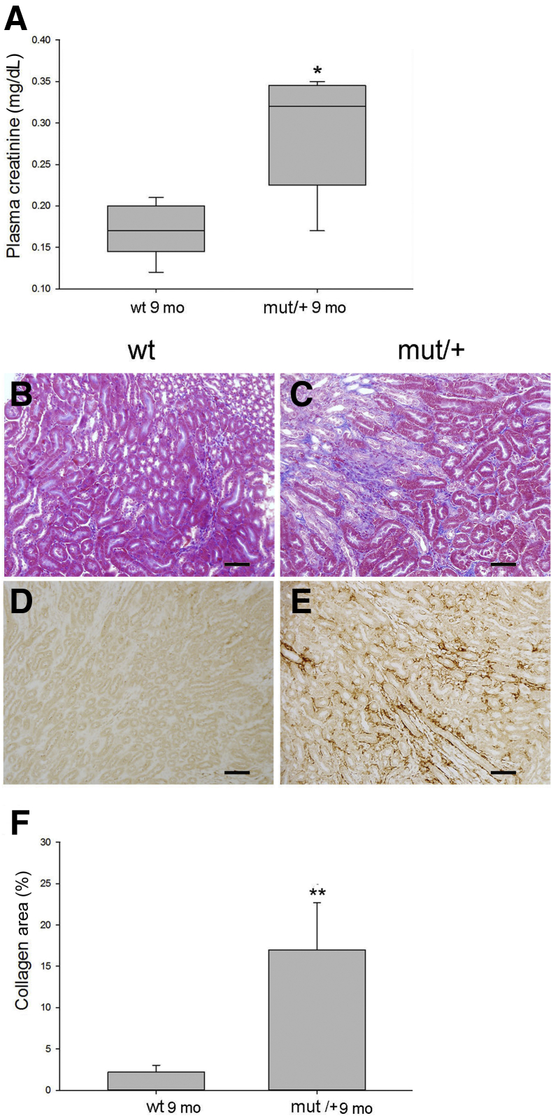 Figure 10