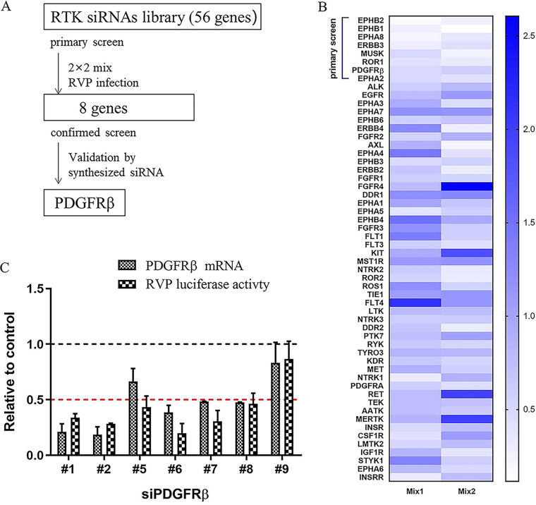 FIG 1