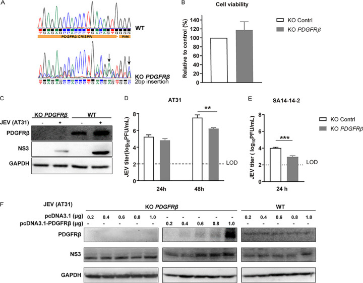 FIG 3