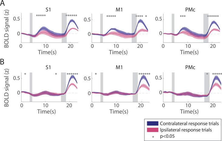 Figure 1—figure supplement 2.