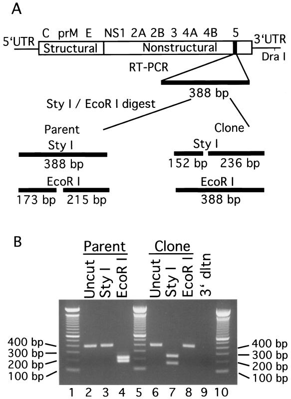 FIG. 4.