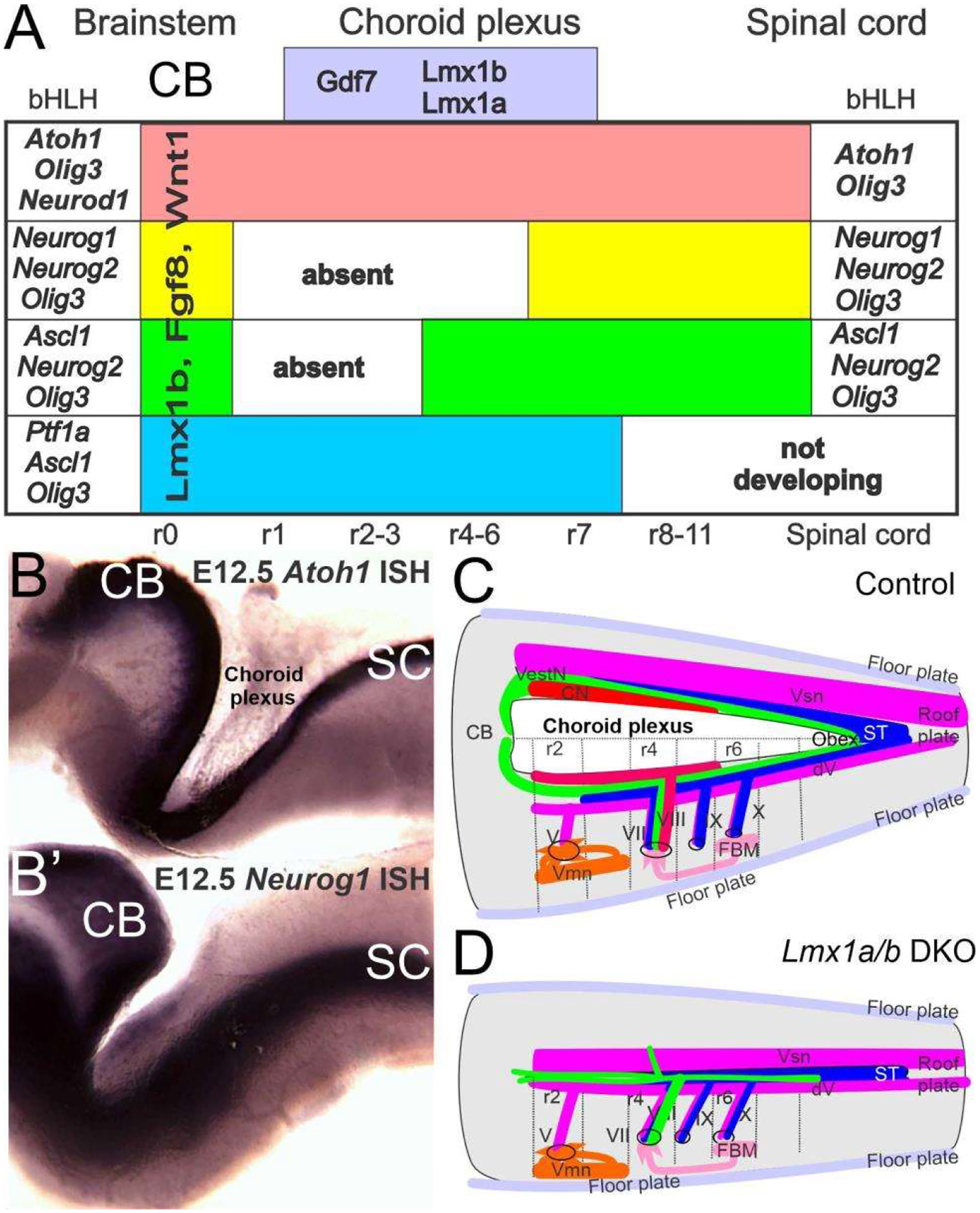 Figure 4.