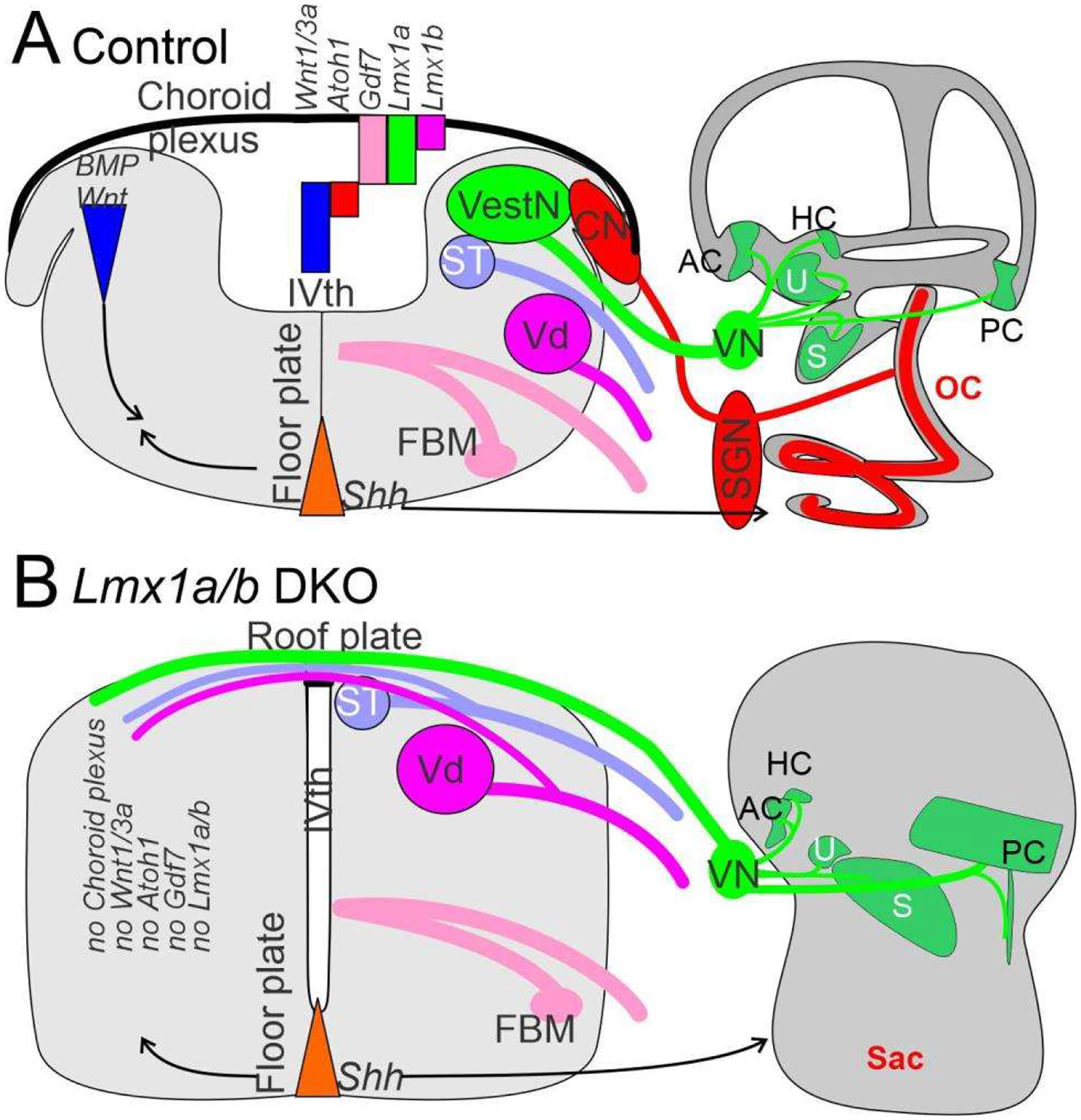 Figure 6.