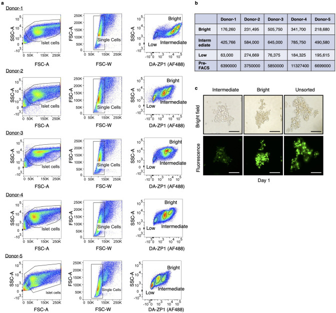 Figure 1—figure supplement 1.