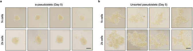 Figure 2—figure supplement 1.