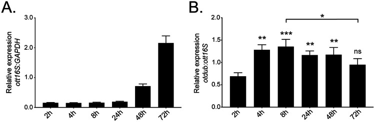 FIG 1