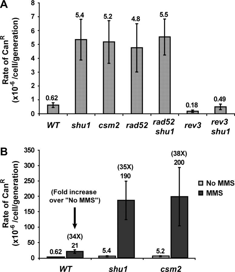 Figure 6.—