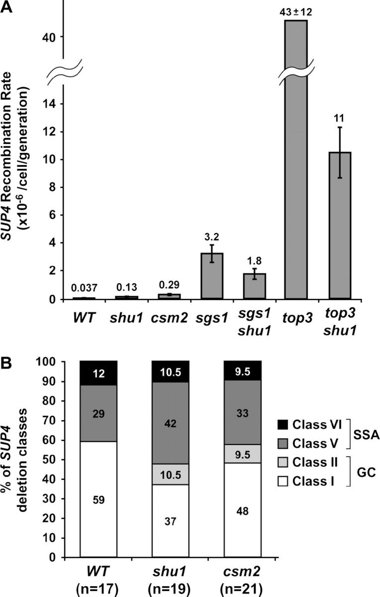 Figure 5.—