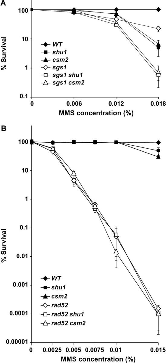 Figure 3.—