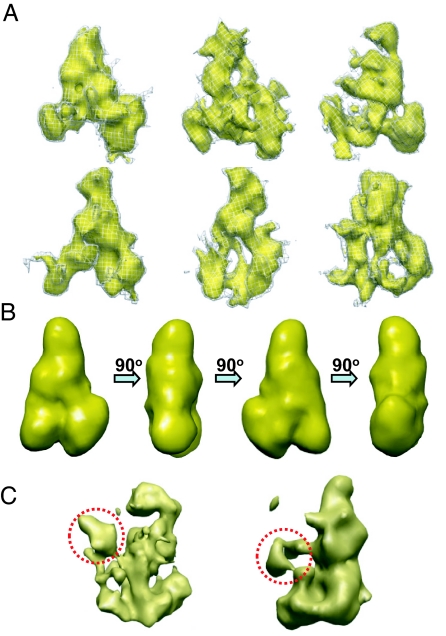 Fig. 4.