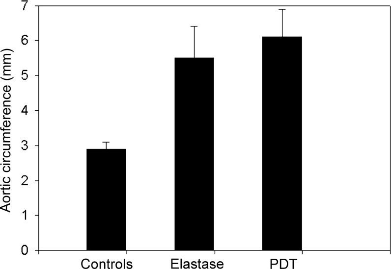 Figure 5: