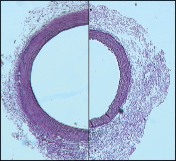 Figure 1: