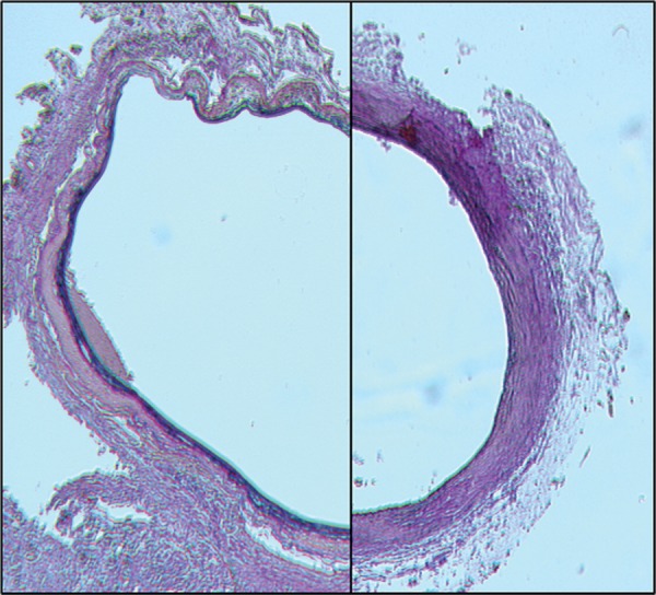 Figure 2: