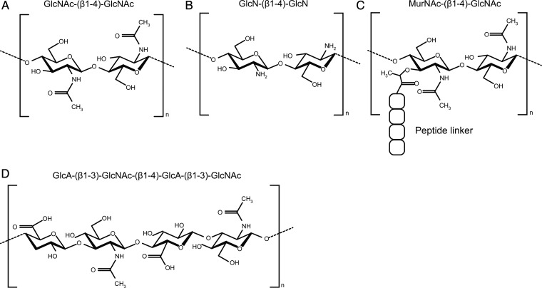 Fig. 1.