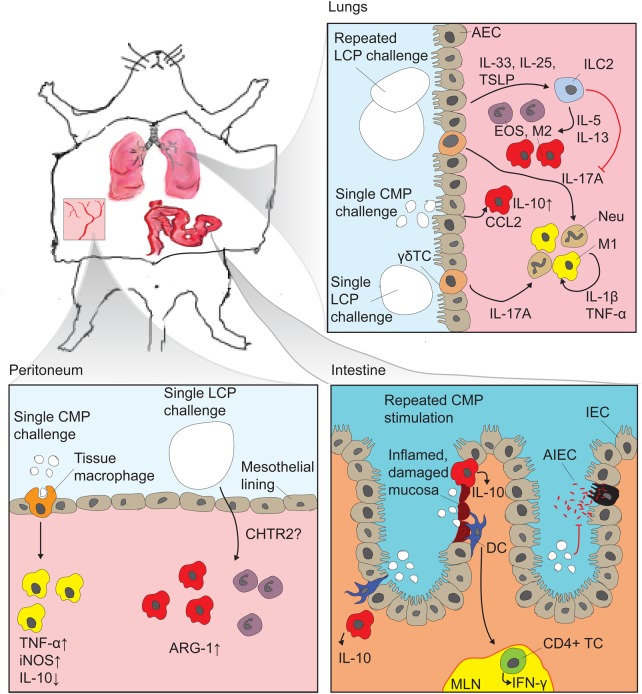 Fig. 2.