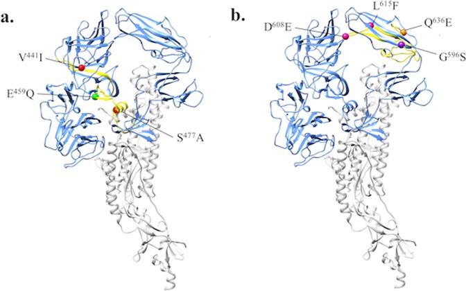 Figure 6