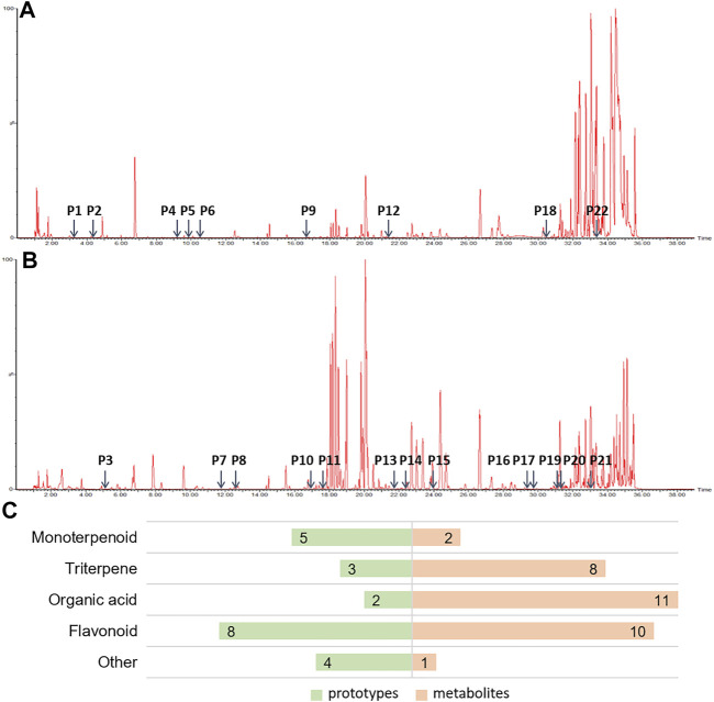 FIGURE 3