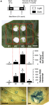 Figure 6.