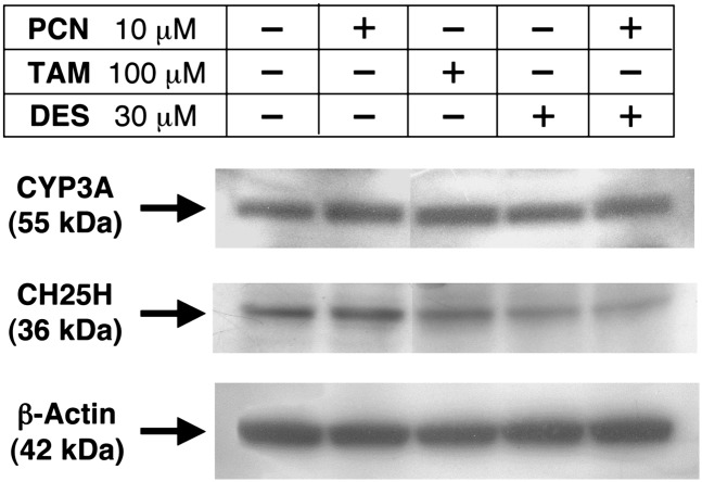 Fig.