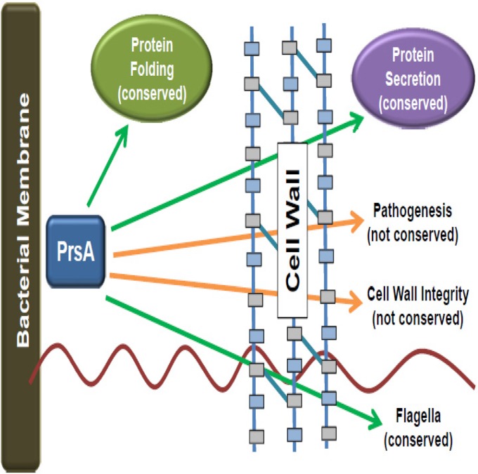 FIG 10