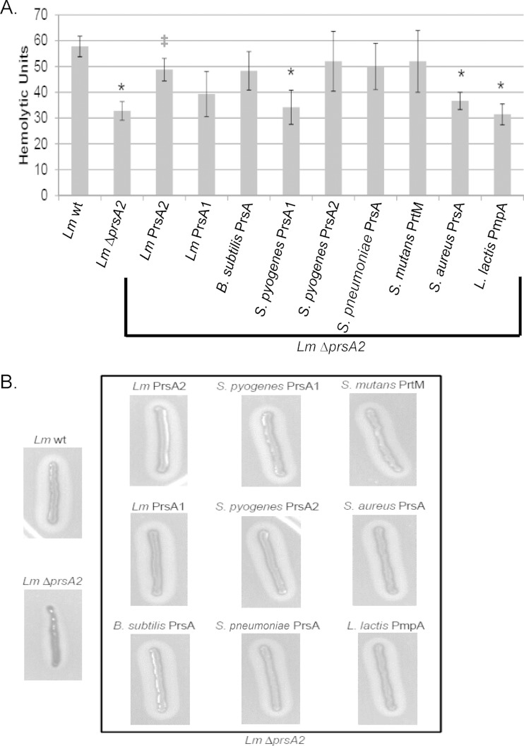 FIG 7