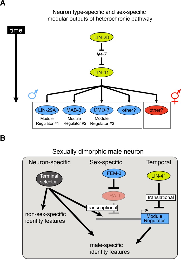 Figure 10.