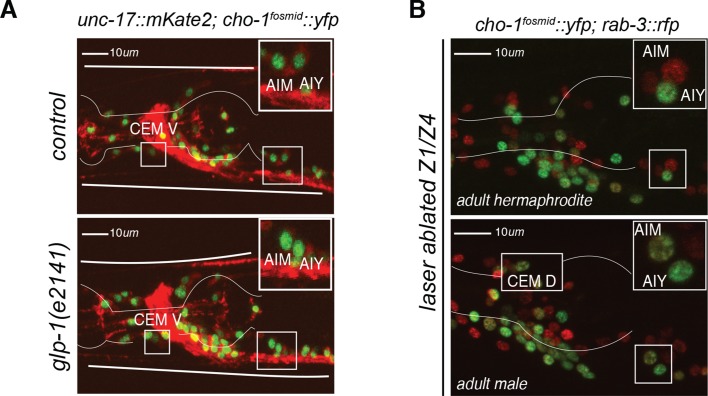 Figure 1—figure supplement 2.