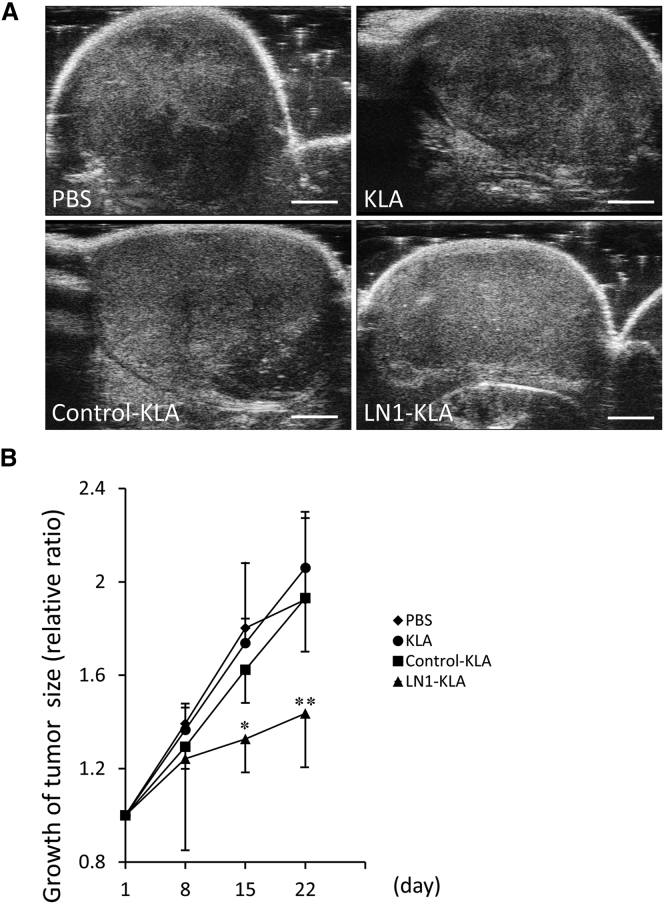 Figure 7