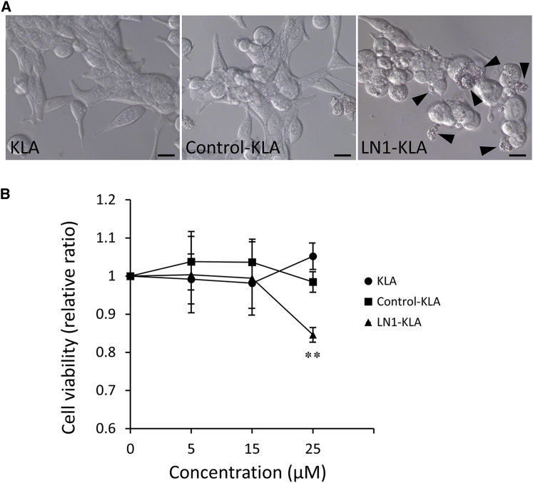 Figure 6