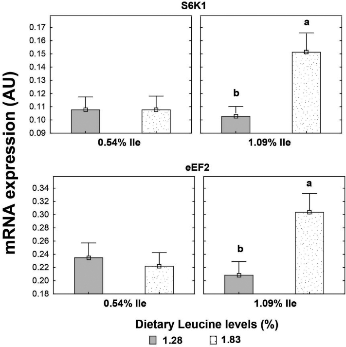 Figure 4