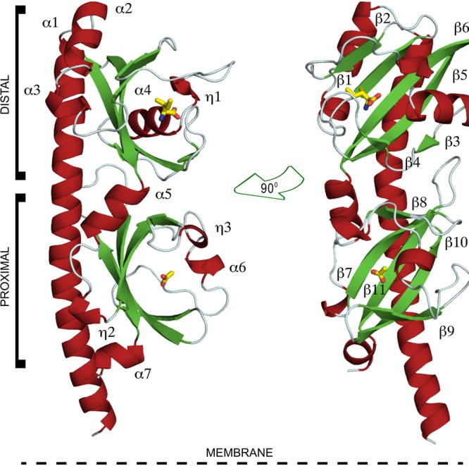 FIG 2