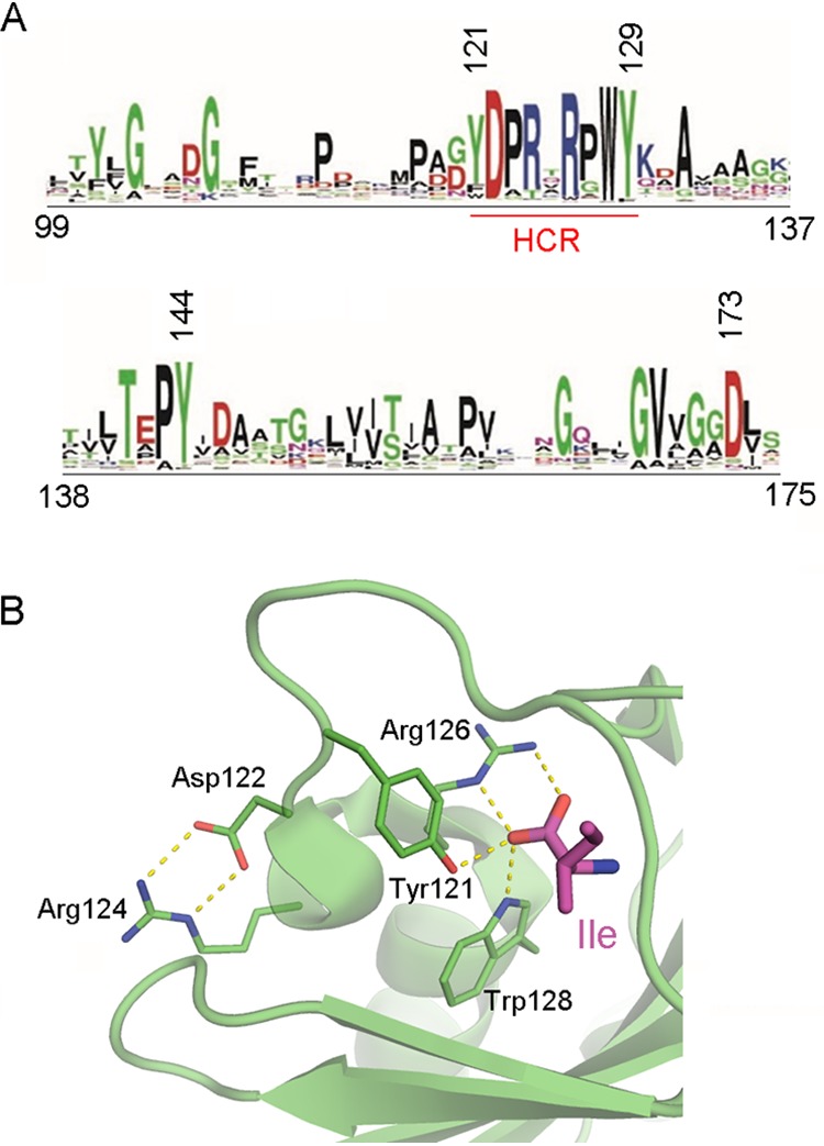 FIG 7